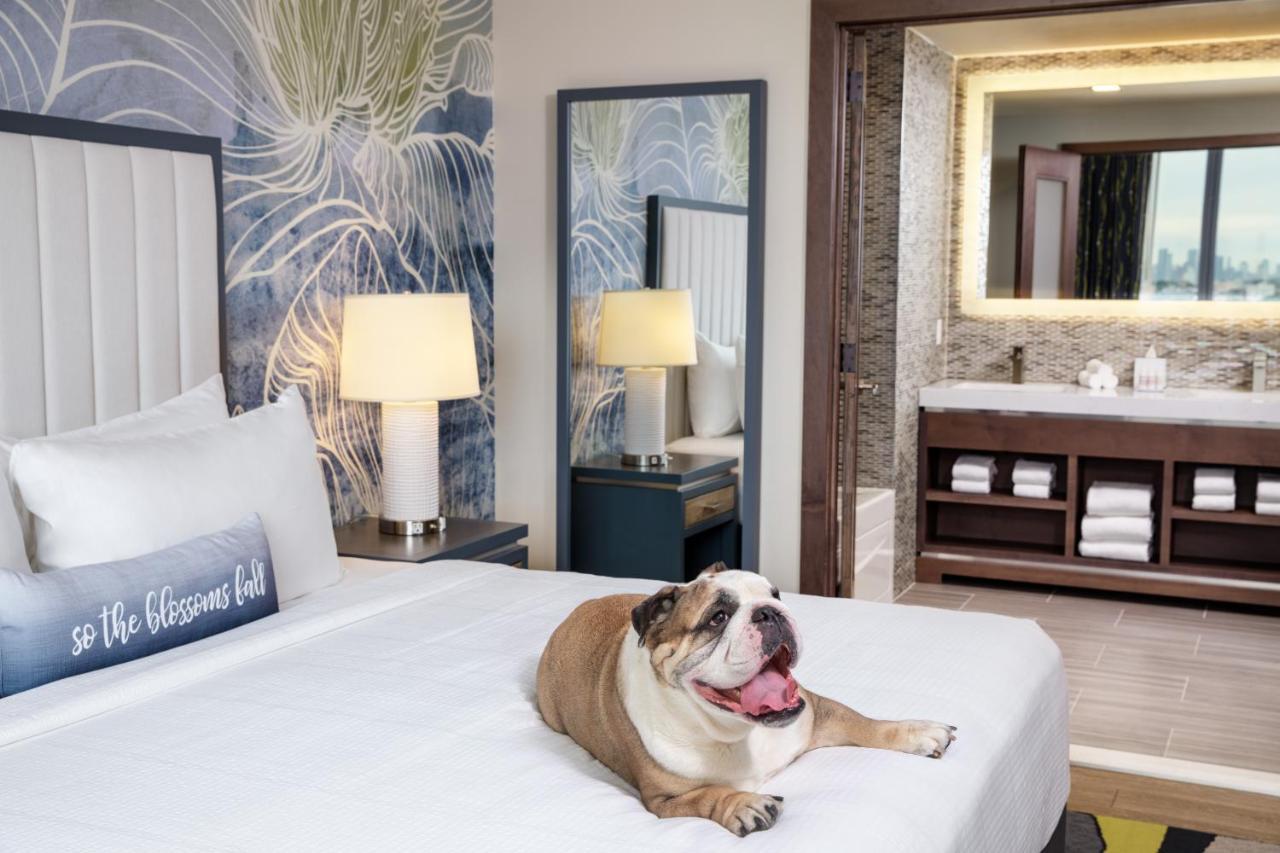Hotel Indigo Flushing - Laguardia Nowy Jork Zewnętrze zdjęcie